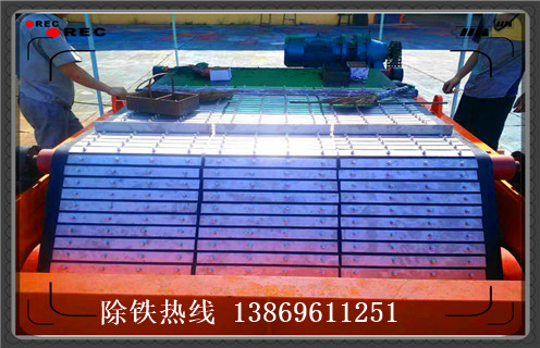 山東草莓污污免费视频皮帶要求