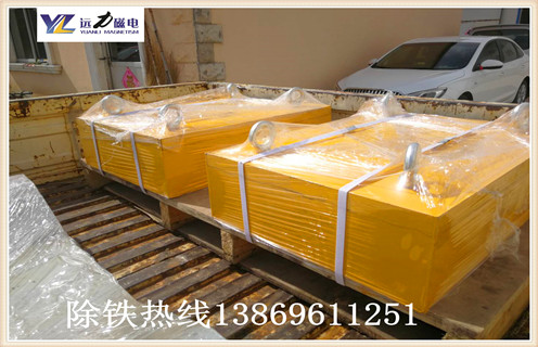 稀土永磁草莓污污免费视频具備沒電勵磁調節器,環保節能明顯,安裝優勢