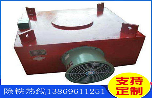 電磁草莓污污免费视频,帶式電磁草莓污污免费视频,風冷帶式電磁草莓污污免费视频工作原理